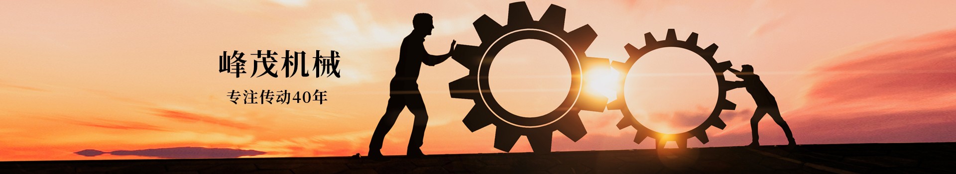 東莞市峰茂機(jī)械設(shè)備有限公司，專注齒條齒輪傳動(dòng)40年